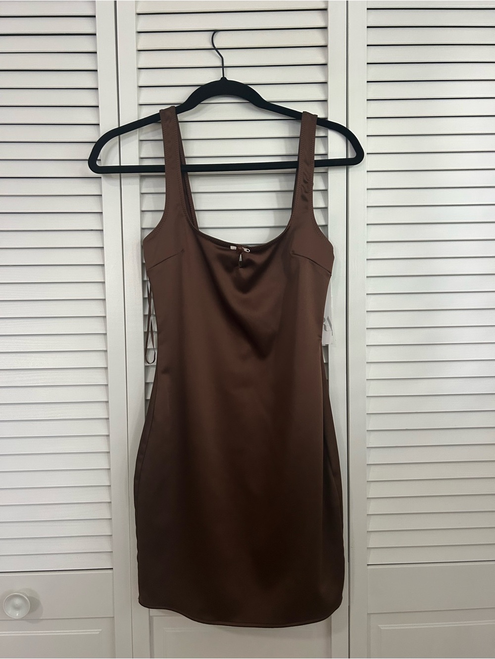NWT Zara Silk Dress